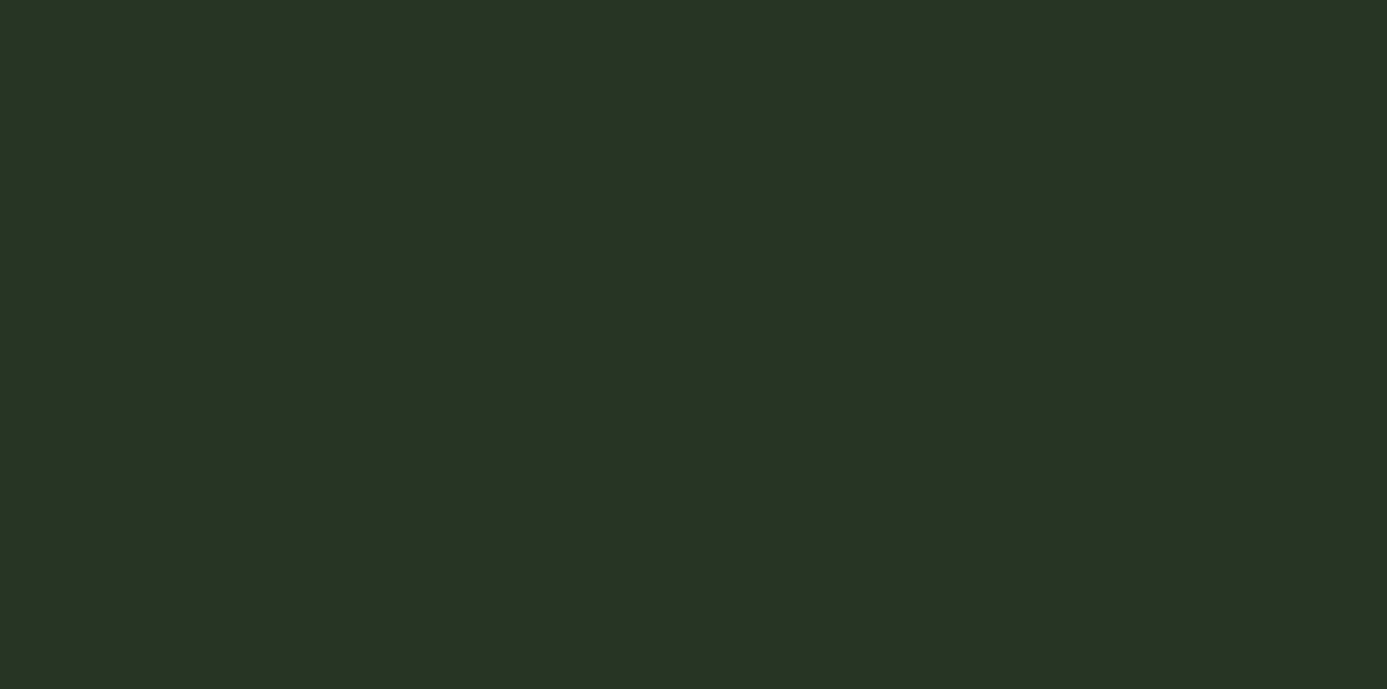 Эмаль болотная (темно зеленая)