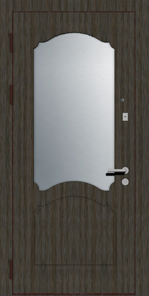 Дверь с зеркалом железная